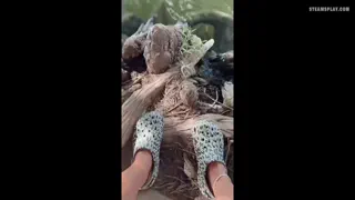 Do you consider mommies too