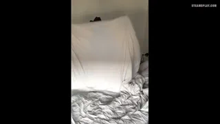 Just taking care of the household:)