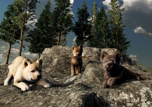 WolfQuest: Anniversary Edition Guide for pup raising - These balls of floof