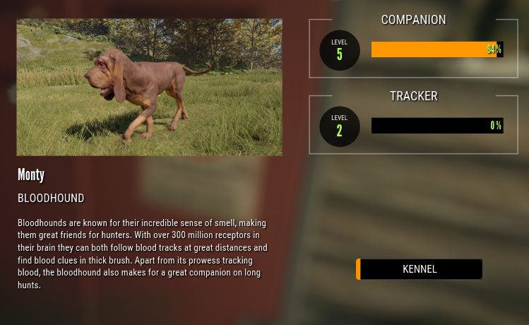theHunter: Call of the Wild™ Bloodhound DLC Full Guide