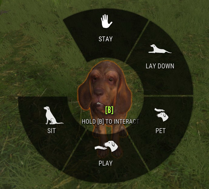 theHunter: Call of the Wild™ Bloodhound DLC Full Guide