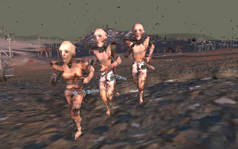 Kenshi Factions in the game - Skin Bandits