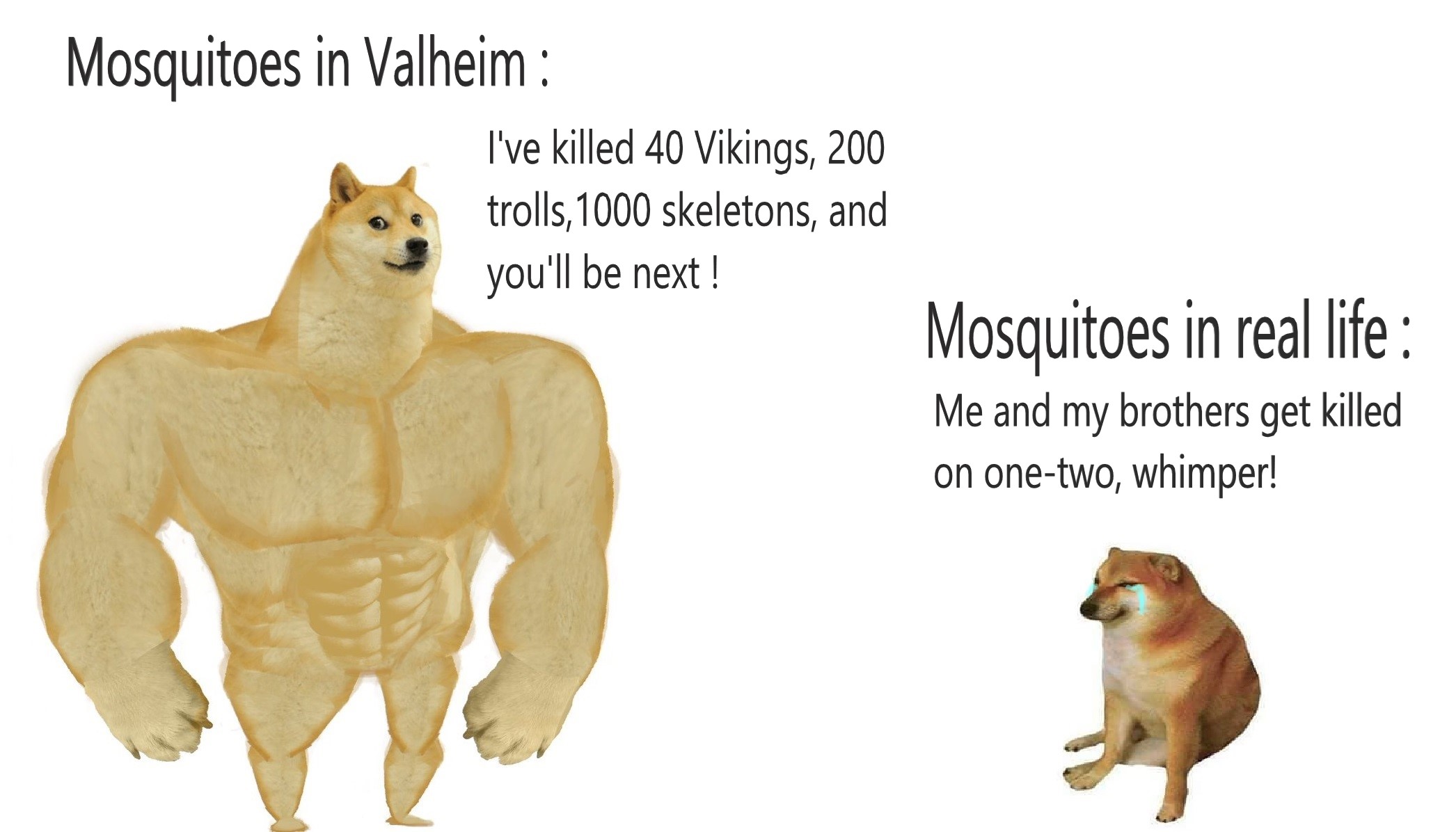 Valheim All console commands and All NPC - Iteams - Skills ID! - A meme to lift your mood ! :)
