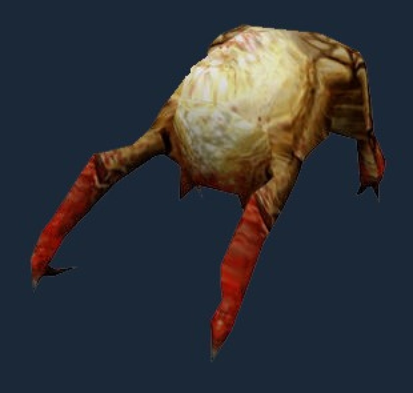 half life head crab