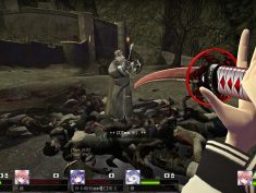 Left 4 Dead 2 How to enable developer console in L4D2 1 - steamsplay.com