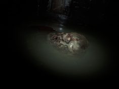 Resident Evil 7 Biohazard HOW TO OPTIMIZIE RESIDENT EVIL 7 – FIX LAG ISSUES AND STUTTERS 4GB RAM GAMERS + AMD Users 1 - steamsplay.com