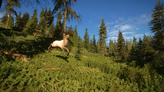 theHunter: Call of the Wild™ HUNTABLE ANIMALS IN EACH RESERVE 1 - steamsplay.com