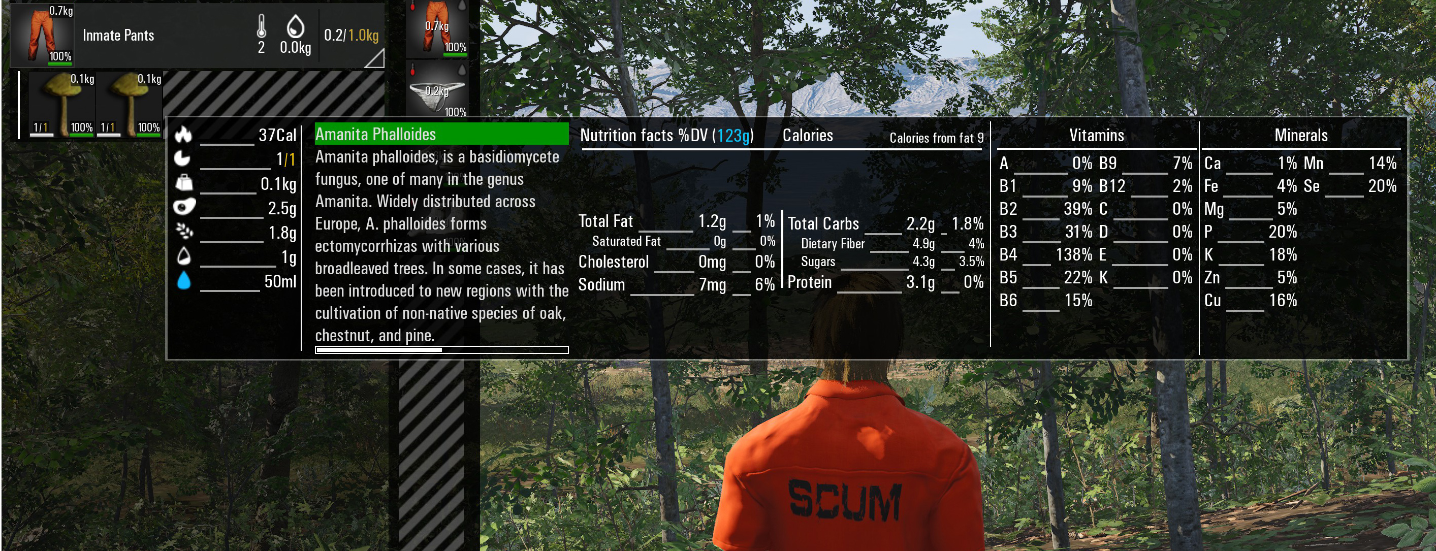 SCUM Food for Metabolism and Vitamins (Not to Get Hungry Fast) - Mushrooms and detailed food information - 43BAA84