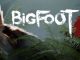 BIGFOOT Location of All Redwood Park Map + Codes in Game (In-Progress) 1 - steamsplay.com