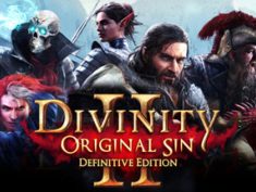 Divinity: Original Sin 2 New Launcher Update – Start Up Crash Fix for Linux Users 1 - steamsplay.com