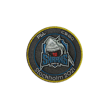 Counter-Strike: Global Offensive Complete Overview for PGL Stockholm 2021 Major - CSGO Event - Patches - BBE020D