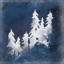 The Long Dark All Collectible Items & Achievements - Episode 4 - Forest Talker Cache - 3A50F2E