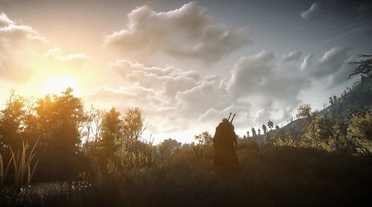 The Witcher 3: Wild Hunt Story Guide + All Quotes in Game - ✔Instructive Quotes✔ - 003CD18