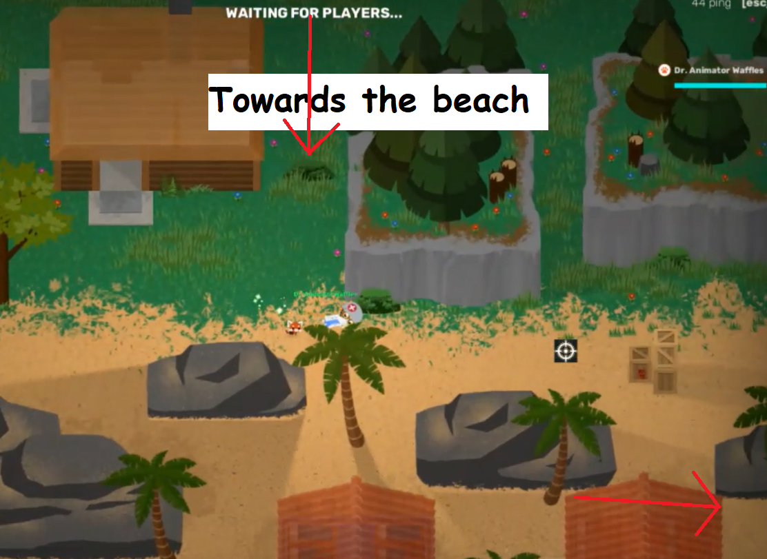 Super Animal Royale How to Get the Beach Ball Into The Lobby Area - The guide - AFD489C