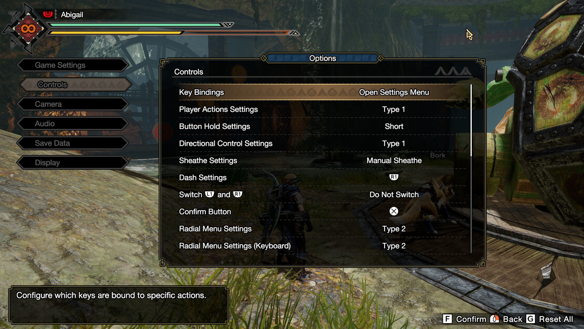 MONSTER HUNTER RISE Controls for Keyboard and Mouse - Key Binding - My personal 