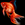 FATE Fish Pet Transformations List Guide - 𓆛 𓆜 𓆝 𓆞 𓆟 - A8D7C23