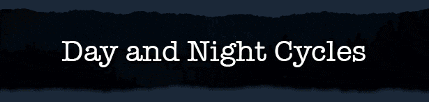 Survive the Nights Full Guide Achievements & Walkthrough - Day and Night Cylces - FDE4C77