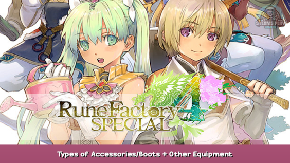 Rune Factory 4 Special Types of Accessories/Boots + Other Equipment 1 - steamsplay.com