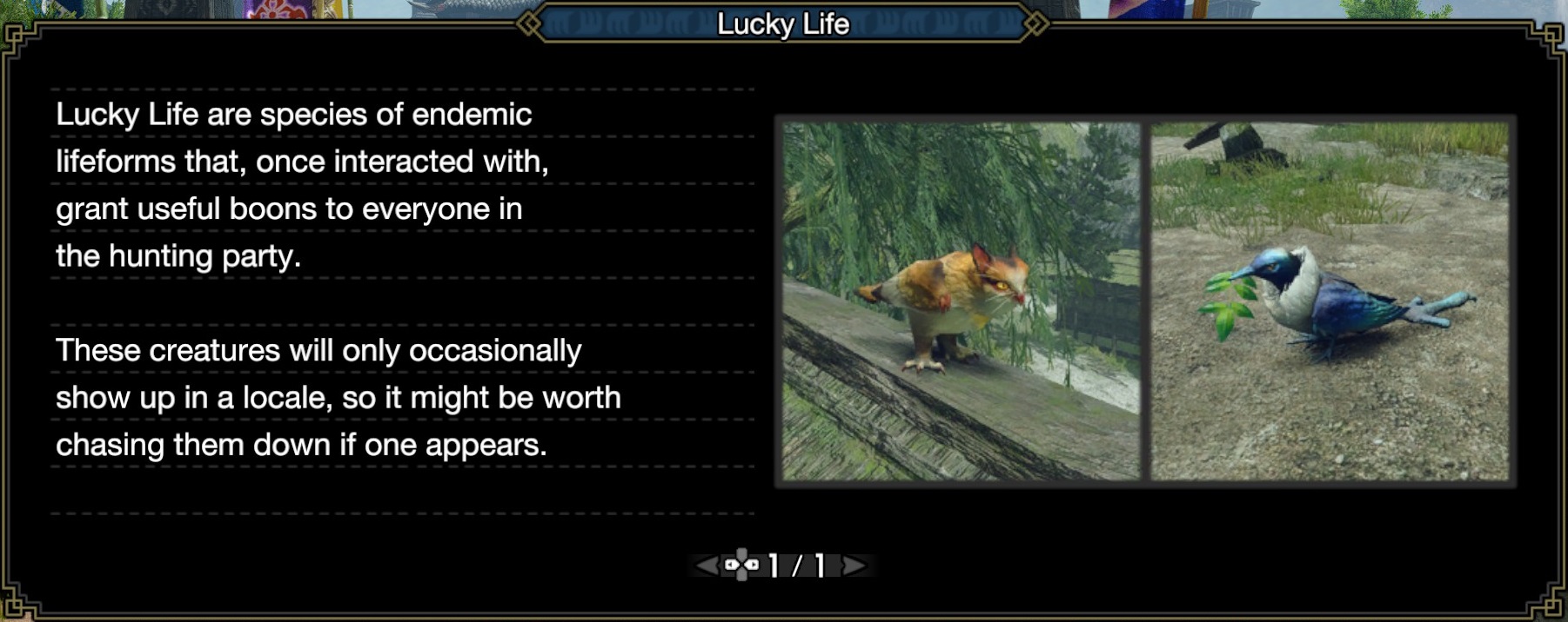 MONSTER HUNTER RISE Lucky Life | Felicicrow & Fortune Owl + Quest Rewards & Zenny - Lucky Life - 14A57C8