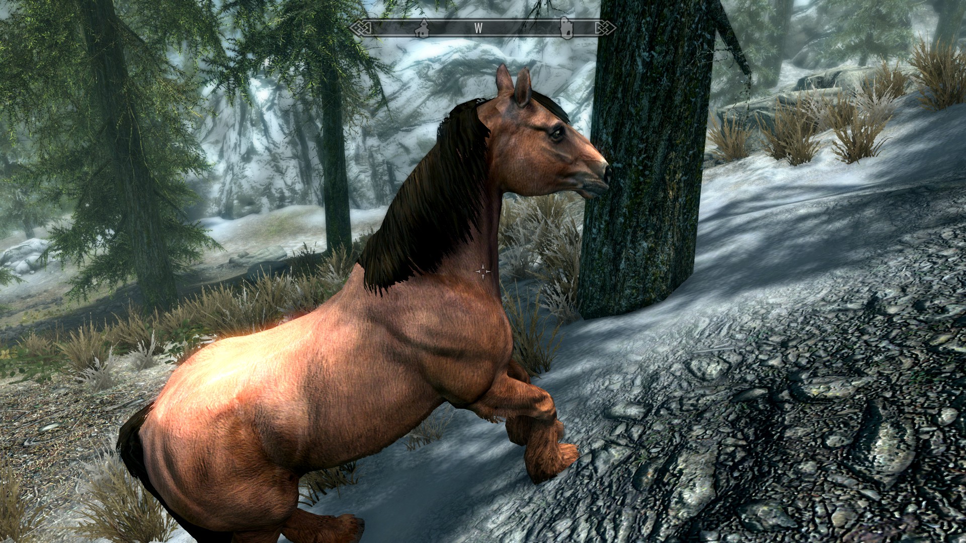 The Elder Scrolls V: Skyrim Special Edition Wild Horses Location Guide - Chestnut Horse - 0B2B712