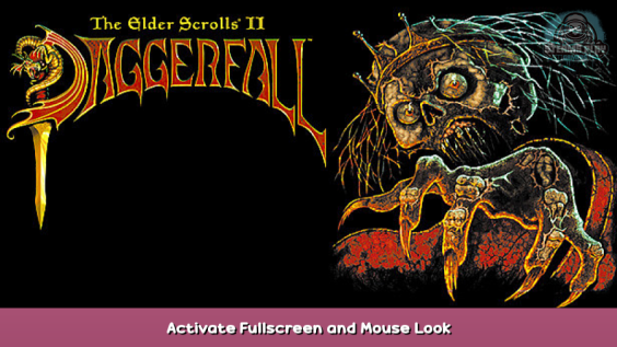 The Elder Scrolls II: Daggerfall Activate Fullscreen and Mouse Look 1 - steamsplay.com
