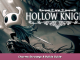 Hollow Knight Charms Strategy & Builds Guide 1 - steamsplay.com