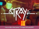 Stray How to Run the Game Through DX11 and DX12 1 - steamsplay.com