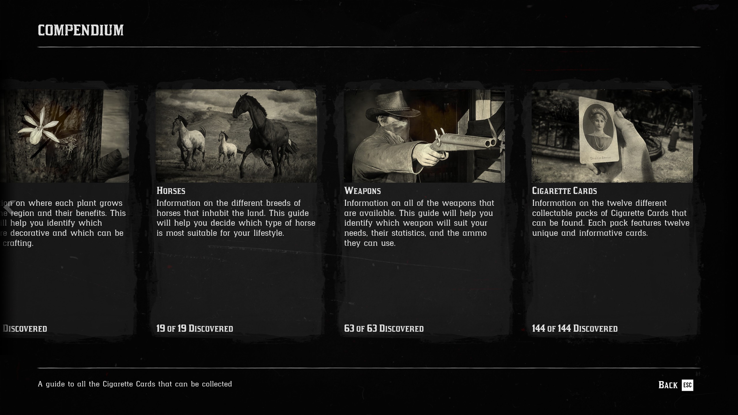 Red Dead Redemption 2 Story Mode Ultimate Save File - Screen Shot Showcase - FE49115